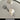LIVETAI Isolde Charming Natural Conch Fork from LIVETAI