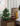 SHIBA Calderon Festive Mini Package Christmas Tree Decoration from SHIBA