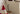 SHIBA Callidora Festive Mini Swing Window Decoration from SHIBA