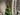 SHIBA Iguanapolis Festive Vibrancy Floor Christmas Decorations from SHIBA