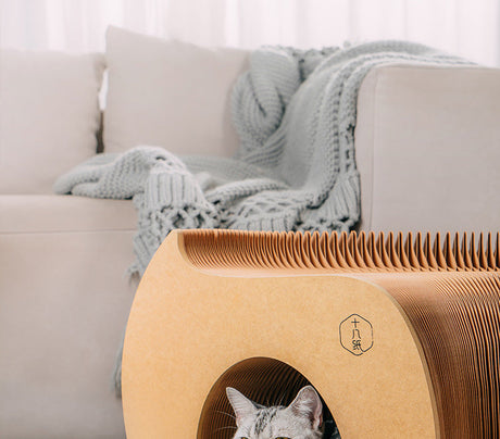 SHIBA Marcellus Unique Foldable Tunnel Toy from SHIBA