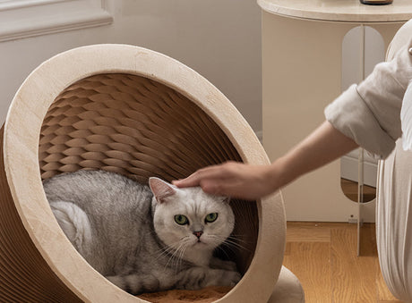 SHIBA Nara Versatile Cozy Tent Cat House from SHIBA