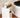 SHIBA Takayama Elegant Multi-color Paper Towel Pump Box from SHIBA