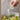 SHUAISHI Yamaguchi Elegant Multi-Grid Seasoning Box from SHUAISHI