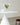 SOOGOOD Amaya Chic Glass-Fiber Coffee Table from SOOGOOD