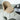 SOOGOOD Lichtenstein Elegant Shell Dining Chair from SOOGOOD
