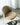 SOOGOOD Lichtenstein Elegant Shell Dining Chair from SOOGOOD