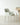 SOOGOOD Lirabia Sleek Italian Fabric Dining Chair from SOOGOOD