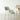 SOOGOOD Lirabia Sleek Italian Fabric Dining Chair from SOOGOOD