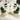 SUNNY Mariposa Elegant Round Dining Set from SUNNY