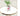 SUNNY Penelope Elegant Minimalist Dining Table Set from SUNNY