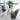 SUNNY Tarsis Elegant Comfort Small Round Table Set from SUNNY