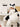 THOUGHTS Hokkaido Whimsical Cartoon Pony Chair from THOUGHTS