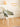 THOUGHTS Valencia Elegant Transparent Dining Chair from THOUGHTS