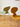 THOUGHTS Ylva Sleek Scandinavian Plastic Highchair from THOUGHTS
