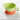 TUBEILE Mistral Bright-Colored Training Dinner Plate Set from TUBEILE