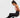 UPTITUDE Isadora Therapeutic Foam Yoga Pillar from UPTITUDE