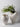 VAVINCI Amaterasu Elegant Notched Ceramic Vase from VAVINCI