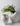 VAVINCI Amaterasu Elegant Notched Ceramic Vase from VAVINCI