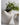 VAVINCI Amaterasu Elegant Notched Ceramic Vase from VAVINCI