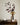 VAVINCI Candelaria Exquisite Brown Glass Vase from VAVINCI