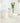XIMIKA Isadora Elegant Light Dining Table from XIMIKA