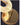 YDZM Mariposa Elegant Modern Lantern Wall Sconce from YDZM