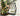 YOUCHAO Tamsin Stylish Outdoor Hanging Basket Swing from YOUCHAO