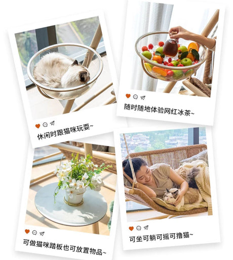 ZIYE Akihiko Stylish Interactive Cat Swing from ZIYE