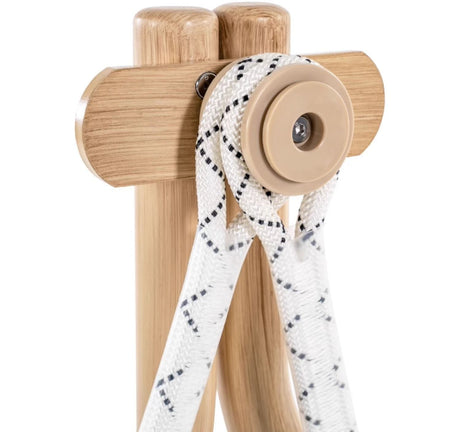 ZIYE Akihiko Stylish Interactive Cat Swing from ZIYE
