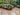 ZIYE Araceli Durable Spacious Outdoor Gazebo from ZIYE