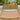 ZIYE Araceli Vibrant Rocking Chair Adult. from ZIYE