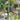ZIYE Aveline Trendy Urban Street Swings from ZIYE