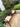 ZIYE Calliope Elegant Outdoor Furniture Set Coffee Table from ZIYE