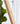 ZIYE Elowen Cozy Feature Swing Rocker from ZIYE