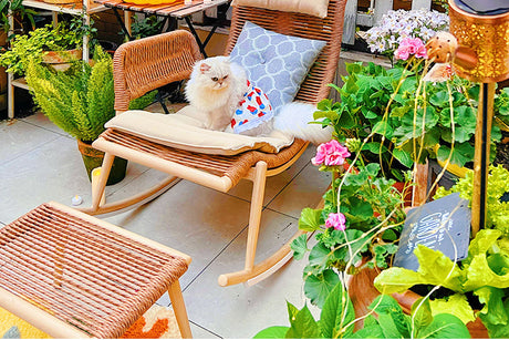 ZIYE Elowen Cozy Rattan Relaxing Chair from ZIYE