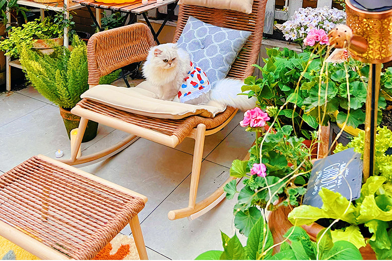 ZIYE Elowen Cozy Rattan Relaxing Chair from ZIYE