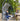 ZIYE Elowen Elegant Hanging Basket Baby Rocker from ZIYE