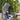 ZIYE Elowen Elegant Hanging Basket Baby Rocker from ZIYE