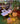 ZIYE Elowen Solar-Powered Streetwoven Garden Lights for Gazebo from ZIYE
