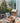 ZIYE Isadora Elegant Rattan Lounge Chair from ZIYE