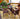 ZIYE Marisol Elegant Patio Set - Garden Chair & Table Combination from ZIYE