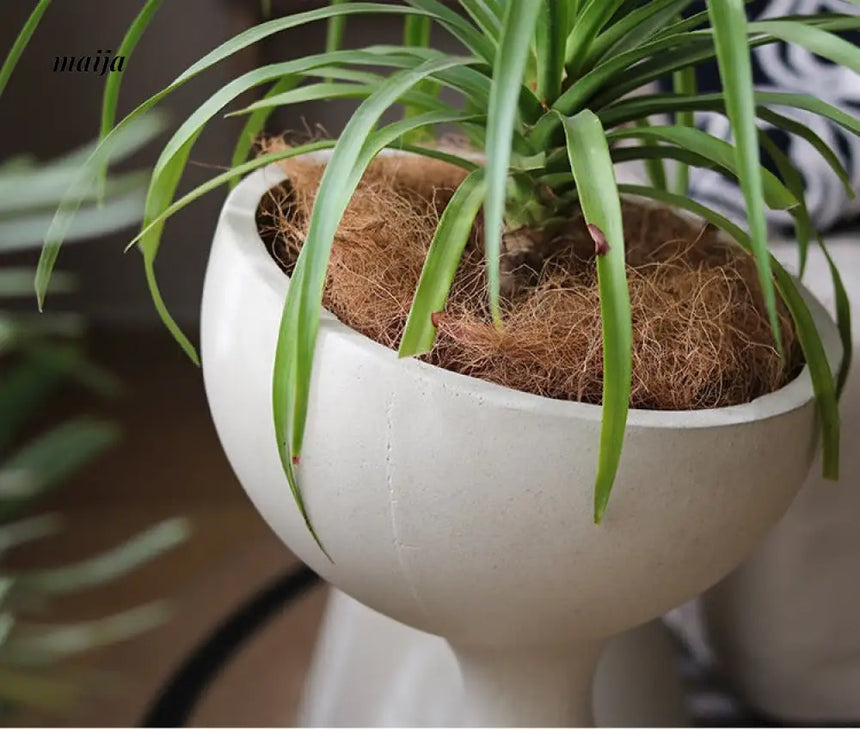 Alien Scoop Standing Flower Pot from Yuanjie Home