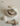 Pearly Lamp Shell from maija