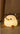 Dashing Baby Chick Night Lamp from maija