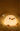 Dashing Baby Chick Night Lamp from maija