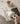 Glossy Puppy Ceramic Tray from maija