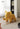 Elephant Plastic Chair from maija