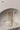 Pearly Lamp Shell from maija