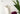 Nami Asymmetric Ceramic Vase from maija